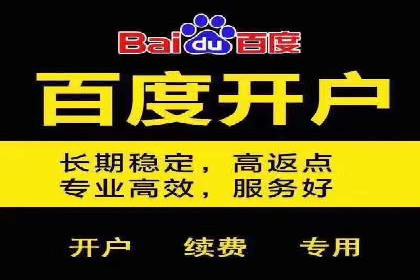 某公司通过SEM运营提升品牌知名度的实践